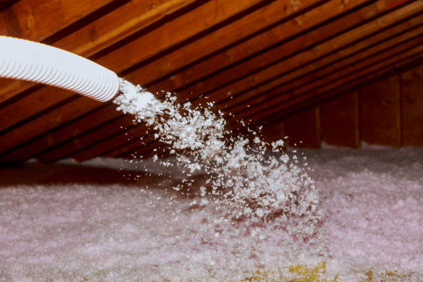 Best Insulation Installation Services in Franklinville, NC